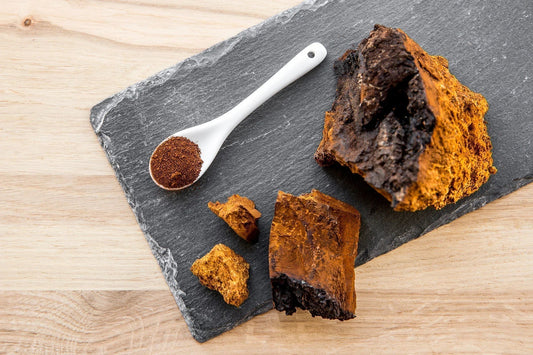Chaga Mushroom: Nature’s Antioxidant Powerhouse From the Birch Forests