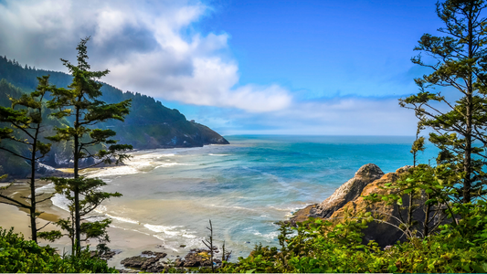 The Pacific Northwest A Journey into Lush Landscapes, Wild Mushrooms, and Luxury Wellness