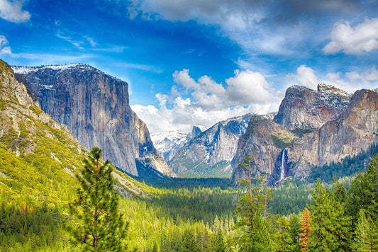 The Simple Summer Reset: Fasting, Sunlight, Minerals and a Return to Nature
