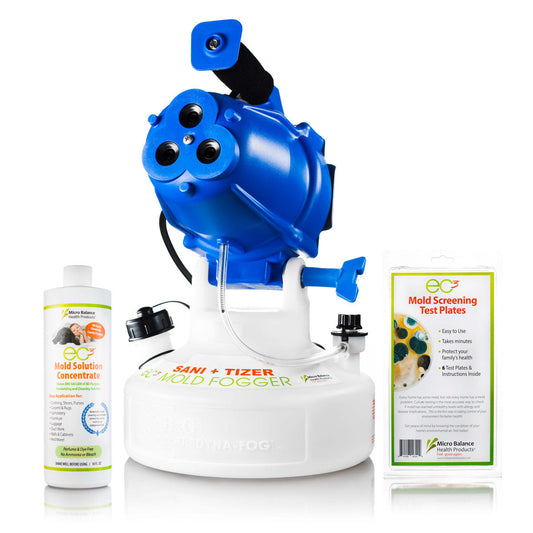 Top Mold-Fighting Products to Purify Your Home