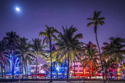 From Bottle Service to Breathwork: Where to Recharge in Miami