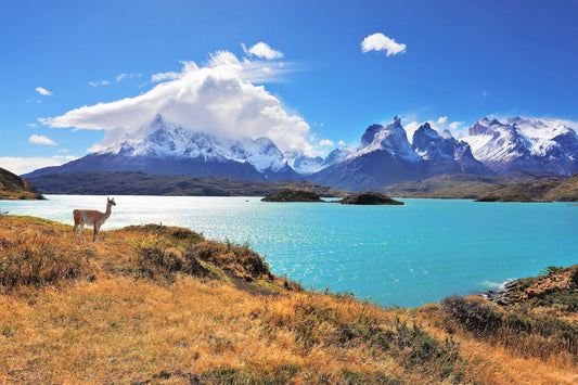 Patagonia: A Wild Escape for Elemental Detox, Glacial Healing & Earth Connection