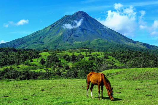 Escape to Nicoya, Costa Rica The Blue Zone Where Longevity Meets Beachside Living