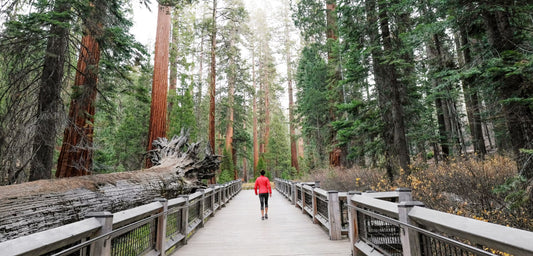Why Walking in Nature Is Serious Health and Performance Training