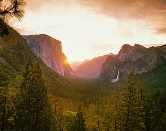 The Sleeping Giants of Yosemite