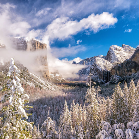 Yosemite in Winter — Silence, Snow, and the Wild Heart of California