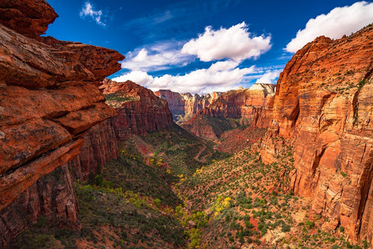 Red Rock and Deep Time: A Zion & Bryce Escape for America's 250th