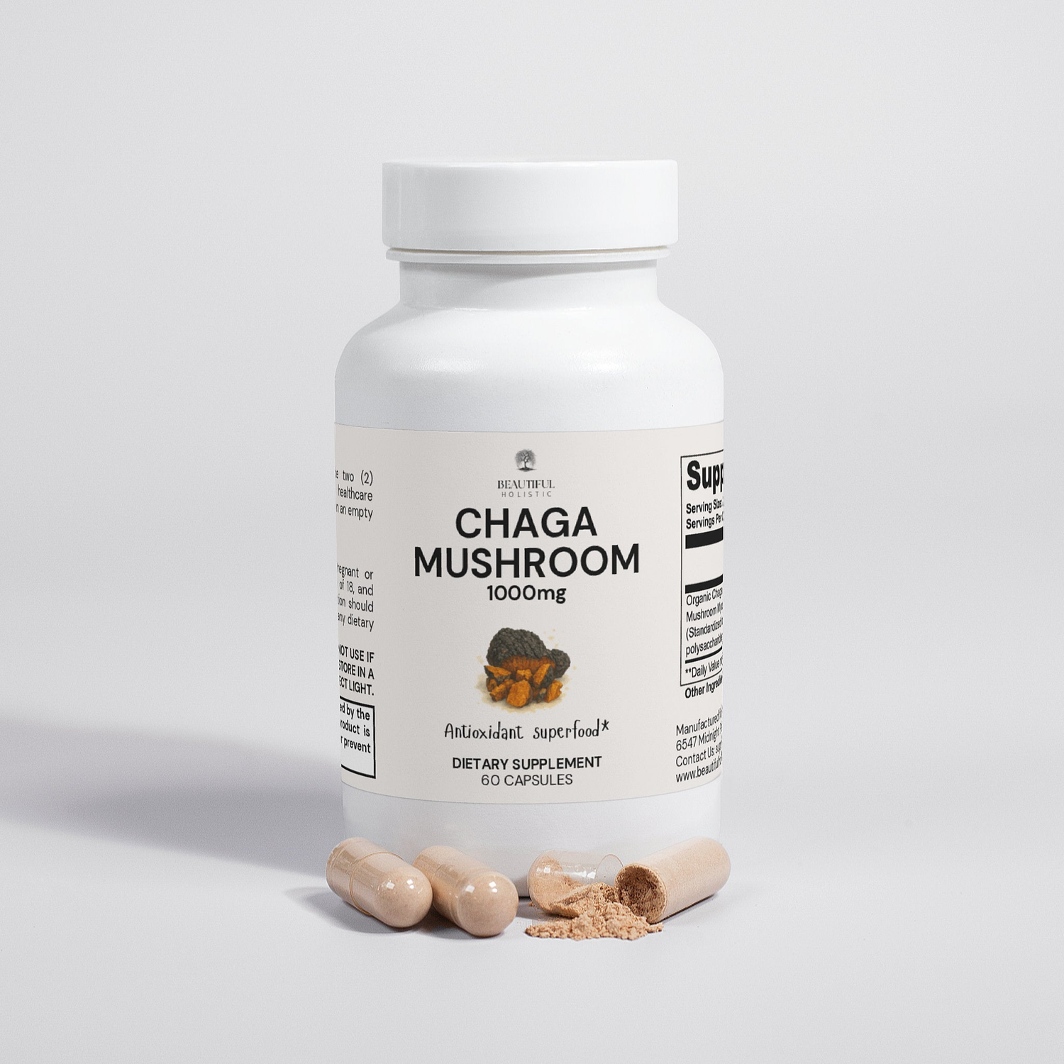 Medicinal Mushrooms