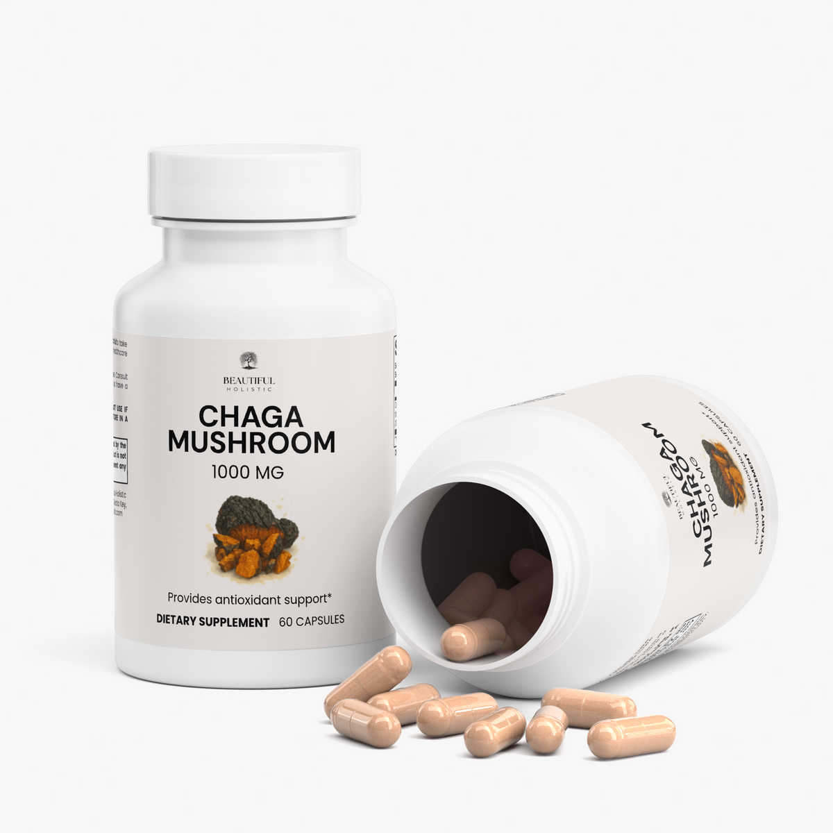 Chaga Mushroom