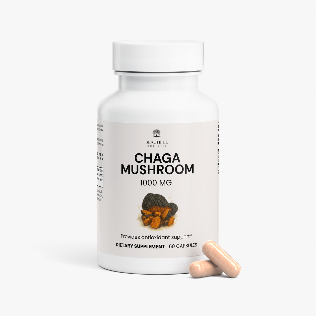 Chaga Mushroom